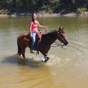 Meet your Posher, Lacy